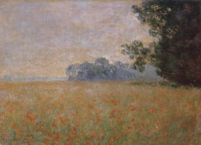 Claude Monet Oat and Poppy Field China oil painting art